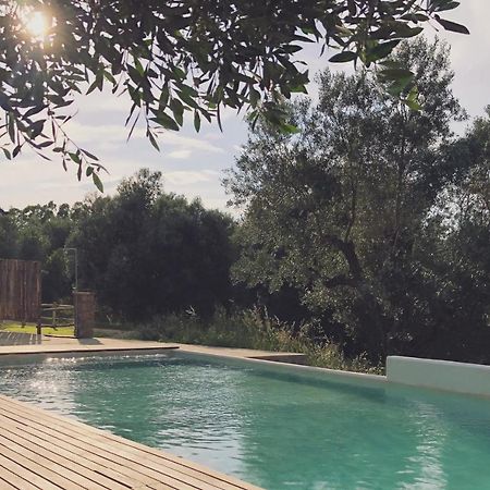 Agriturismo Casette Del Forno Монтальто-ди-Кастро Экстерьер фото