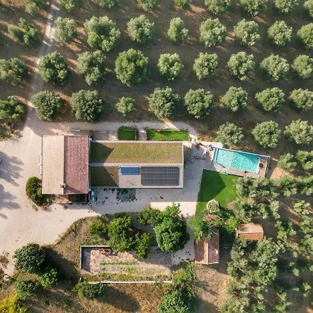 Agriturismo Casette Del Forno Монтальто-ди-Кастро Экстерьер фото