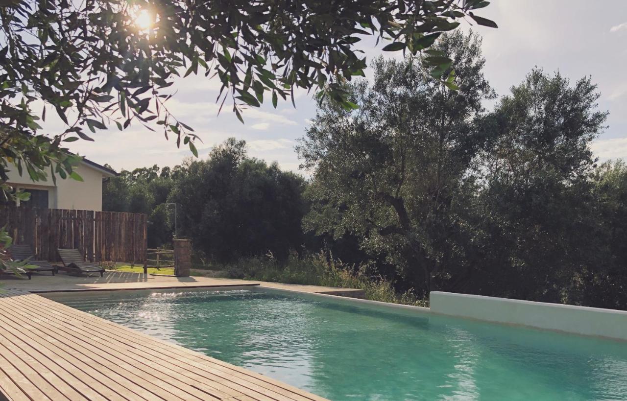 Agriturismo Casette Del Forno Монтальто-ди-Кастро Экстерьер фото